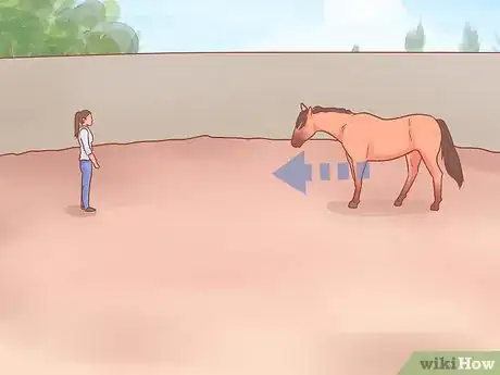 Imagen titulada Join Up With a Horse Step 14