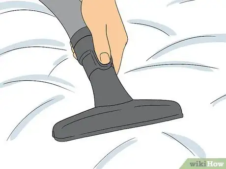 Imagen titulada Do Pest Control With a Vacuum Cleaner Step 9