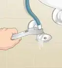 quitar moho y hongos