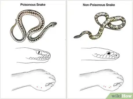 Imagen titulada Prevent Snake Bites Step 1