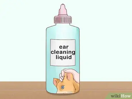 Imagen titulada Bathe a Cat Without Water Step 14