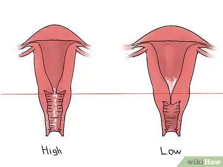 Imagen titulada Feel Your Cervix Step 6