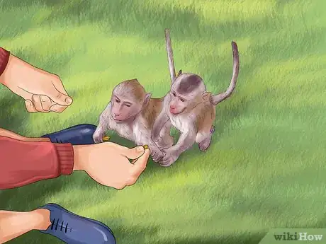 Imagen titulada Prevent or Survive a Monkey Attack Step 3