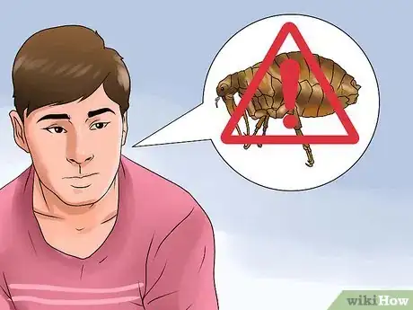 Imagen titulada Rid Your Pet of Fleas Step 1