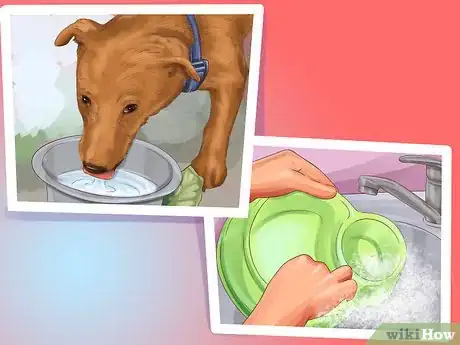 Imagen titulada Be a Responsible Dog Owner Step 2
