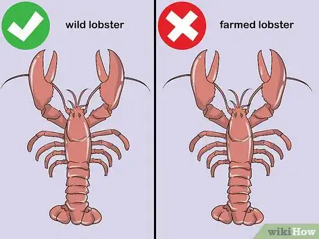 Imagen titulada Store Live Lobster Step 1