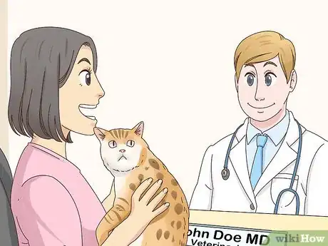 Imagen titulada Identify a Bengal Cat Step 9