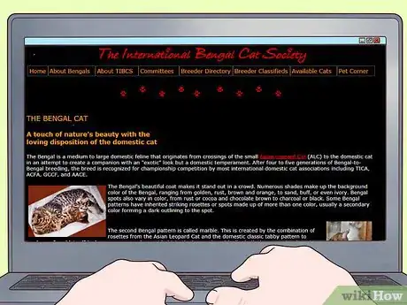 Imagen titulada Identify a Bengal Cat Step 8