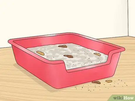 Imagen titulada Stop Your Cat from Peeing on Your Bed Step 3