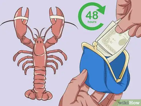 Imagen titulada Store Live Lobster Step 2