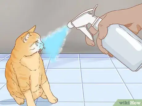 Imagen titulada Train a Cat Step 13