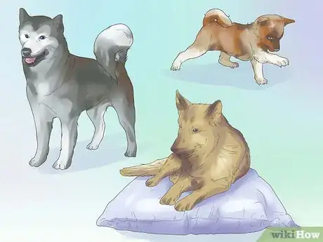 Imagen titulada Remove Ear Mites from a Dog Step 17