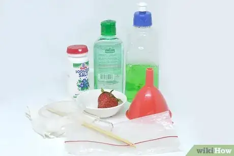 Imagen titulada Extract Strawberry DNA Step 1