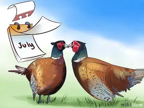 Imagen titulada Breed and Incubate Pheasants Step 1