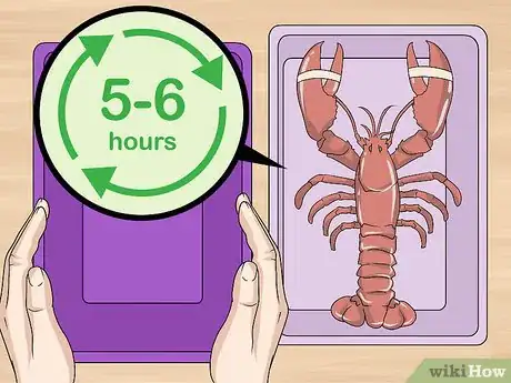 Imagen titulada Store Live Lobster Step 8