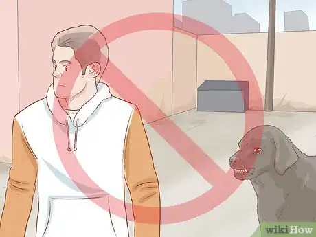 Imagen titulada Fight off a Dog Step 10