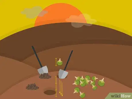 Imagen titulada Plant Narcissus Bulbs Step 07
