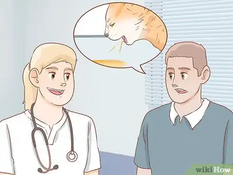 Imagen titulada Diagnose the Cause of a Swollen Abdomen in Cats Step 8