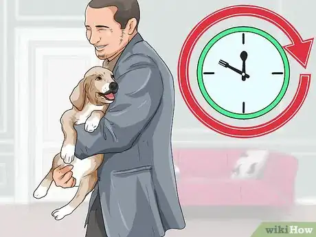 Imagen titulada Care for a Puppy when You Work Full Time Step 5