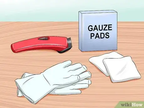 Imagen titulada Express a Cat's Anal Glands Step 1