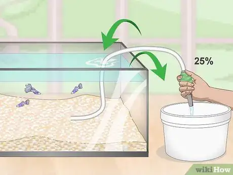 Imagen titulada Lower Your Nitrate_Nitrite Levels in Your Fish Tank Step 3