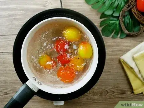 Imagen titulada Store Tomatoes (Long Term) Step 19