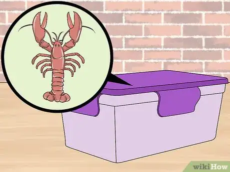 Imagen titulada Store Live Lobster Step 6