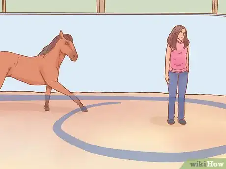 Imagen titulada Join Up With a Horse Step 13