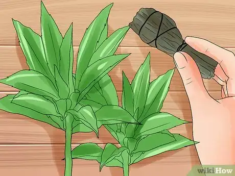 Imagen titulada Smudge a House Step 1