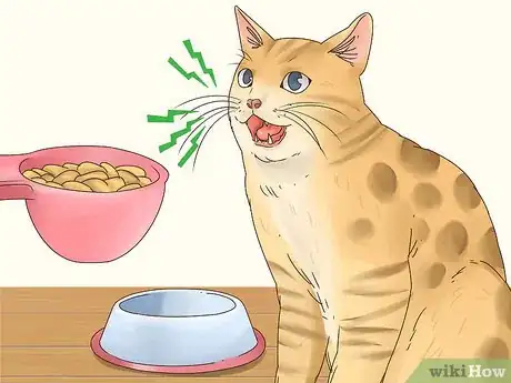 Imagen titulada Identify a Bengal Cat Step 6