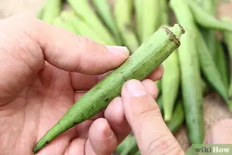 Imagen titulada Preserve Fresh Okra Step 5