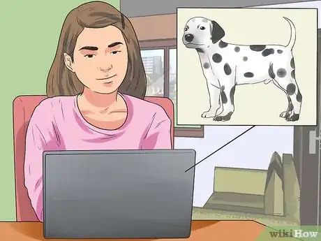 Imagen titulada Train Dalmatians Step 5