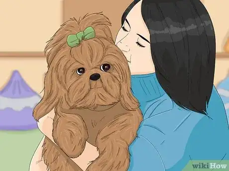Imagen titulada Take Care of a Shih Tzu Step 13