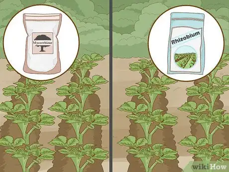 Imagen titulada Improve Soil Step 8