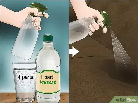 Imagen titulada Clean Pee Off a Couch Step 2