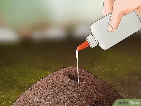 Imagen titulada Kill Ants Outside Step 9