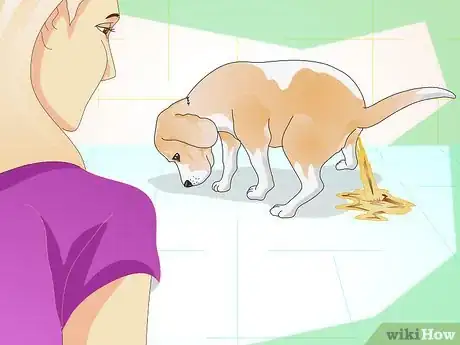 Imagen titulada Add Fiber to a Dog's Diet Step 2