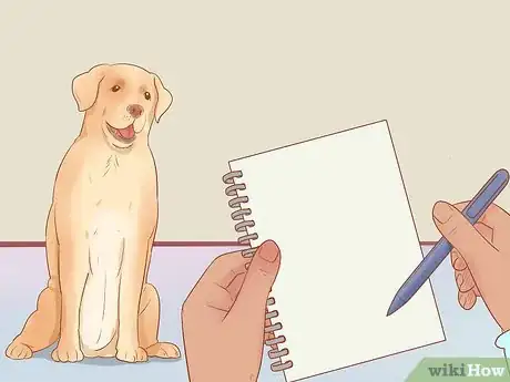 Imagen titulada Choose a Dog Step 16