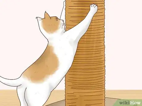 Imagen titulada Keep Pets off the Furniture Step 16