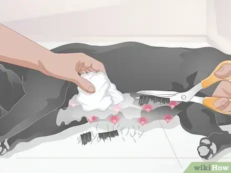 Imagen titulada Diagnose Mastitis in Dogs Step 9