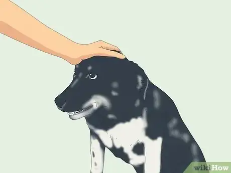 Imagen titulada Pet a Dog Step 10