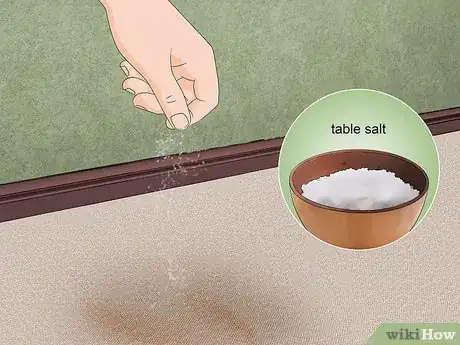Imagen titulada Remove Iron Stains Step 7
