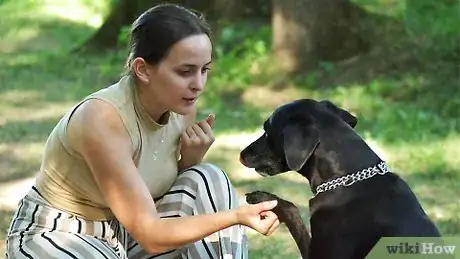 Imagen titulada Train a Dog to Give You Its Paw Step 6