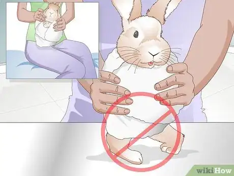 Imagen titulada Trim Rabbit Toenails Step 10