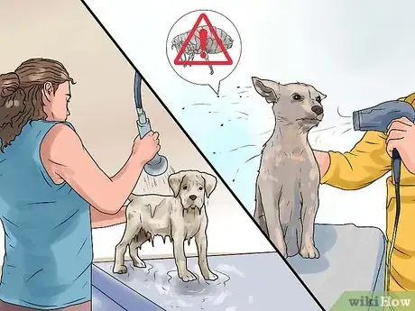 Imagen titulada Rid Your Pet of Fleas Step 4
