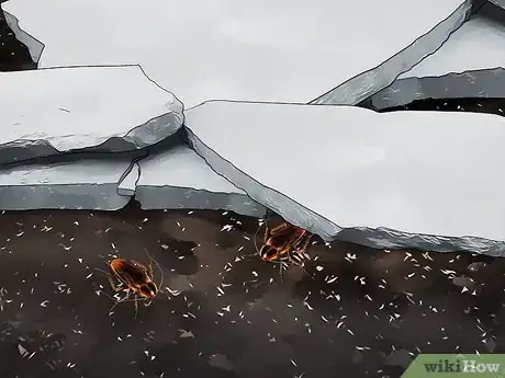 Imagen titulada Attract Cockroaches Step 9