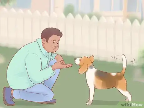 Imagen titulada Choose a Dog Step 13