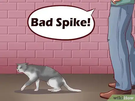 Imagen titulada Discipline Cats Step 11