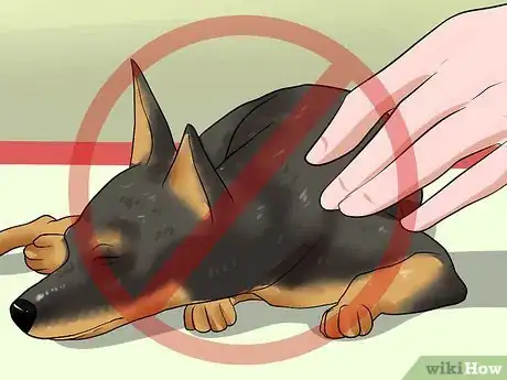 Imagen titulada Know if Your Dog Is Dreaming Step 6