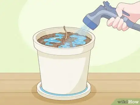 Imagen titulada Plant Date Seeds Step 14